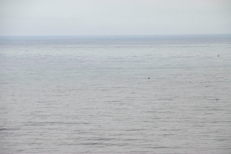 2011-07-23_Santa Barbara_Tag28_125.jpg